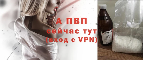 гашик Белокуриха