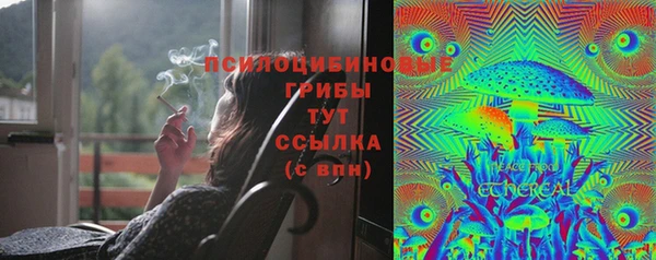гашик Белокуриха