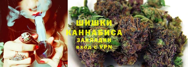 гашик Белокуриха