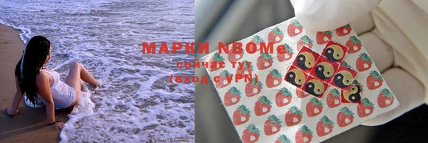 гашик Белокуриха